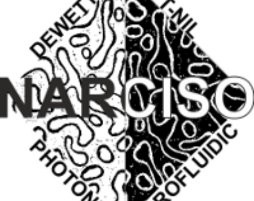 NARCISO logo