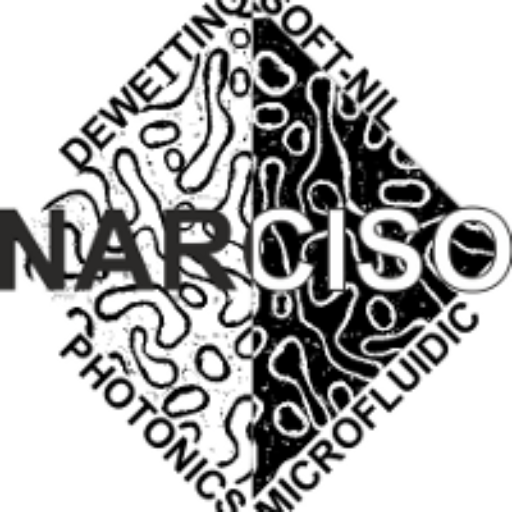 NARCISO logo