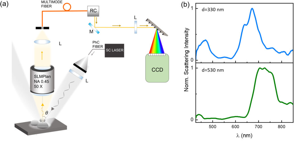 DF micro-spectroscopy characterization of dewetted Si80Ge20 island