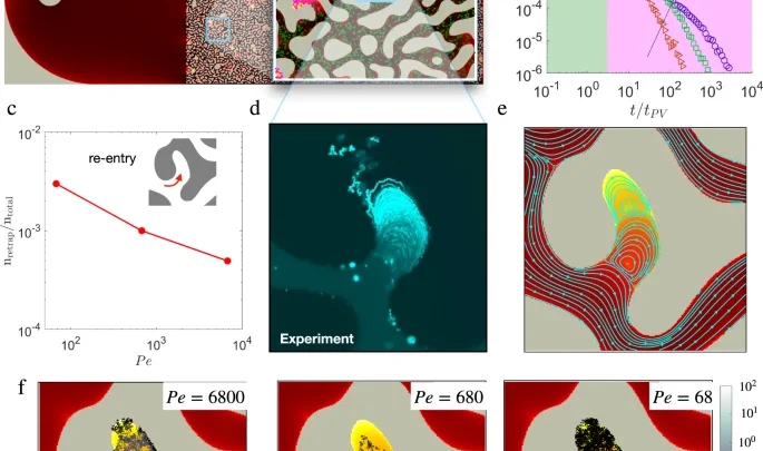 Structure induced laminar vortices