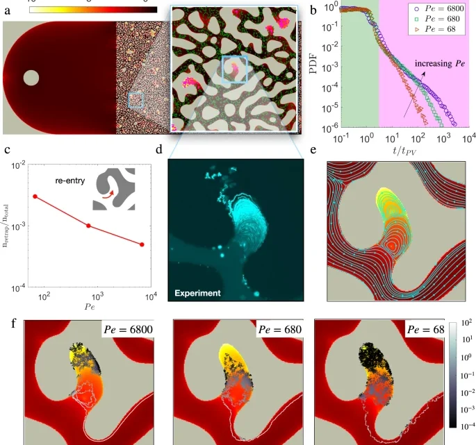 Structure induced laminar vortices