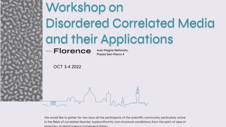 Workshop on Disordered Correlated Media and their Applications